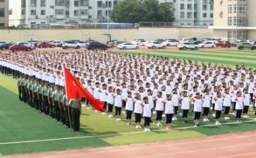 军训之心得体会作文800字7篇