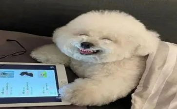 有关开心作文精选6篇