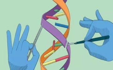 小学科学四上工作总结推荐5篇