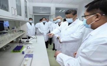 工作科研工作总结最新6篇