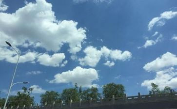空气污染报告调查报告6篇