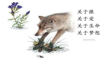 《狼王梦》读后感优秀作文8篇