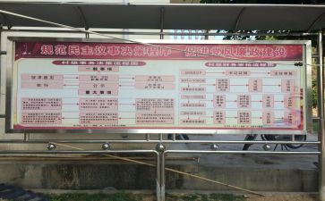 两委会工作总结5篇