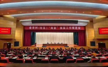 两委会工作总结通用8篇
