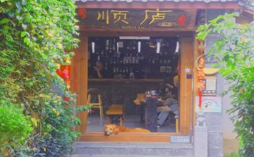 丽江旅游心得5篇