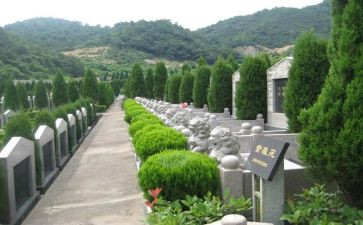 参观杨?公陵园心得体会优秀6篇