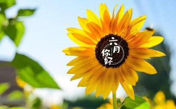 六月周工作计划5篇