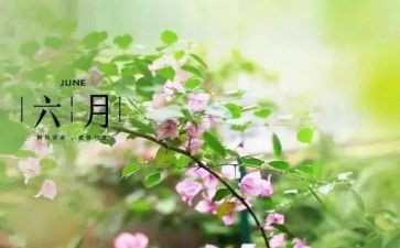 中班六月份工作计划8篇
