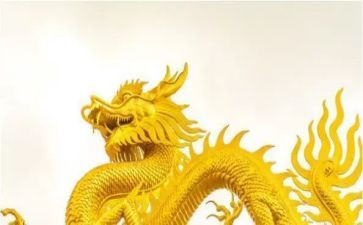 变色龙教案参考7篇