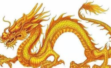 有关赵子龙的心得体会作文通用7篇