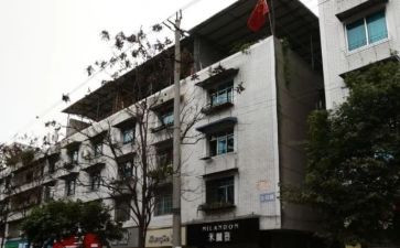 楼院支部半年工作总结7篇