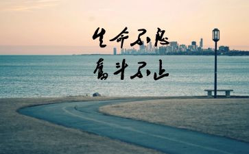 真努力假努力作文通用8篇