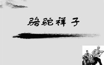 骆驼翔子读后感优质5篇