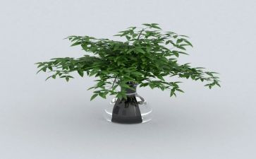 绿户口申请书最新8篇