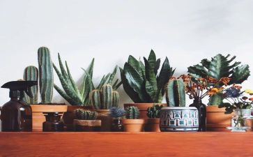 绿化劳务合同8篇
