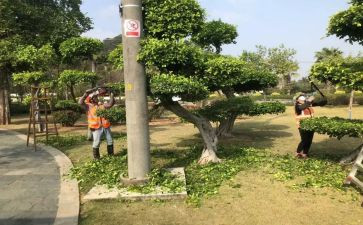 绿化工作总结范文7篇