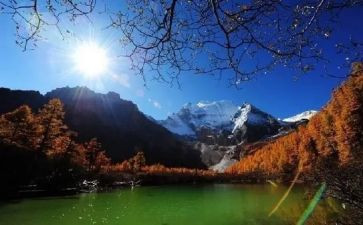 旅游月工作总结优秀5篇