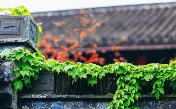 慢就业调研报告8篇