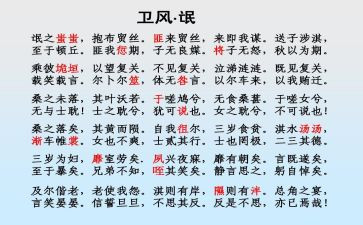 氓的读后感800字精选5篇