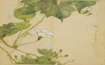 氓的读后感800字7篇