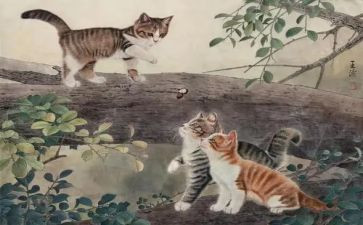 猫节选读后感8篇