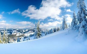 冰雪迎冬奥会作文6篇