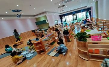 幼师蒙氏教育工作计划6篇