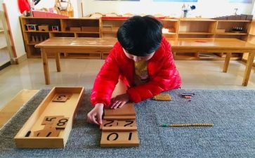 幼儿园蒙氏数学教案及反思8篇