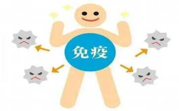 年度免疫规划工作总结8篇