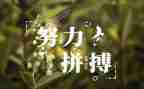 名人及事迹推荐7篇