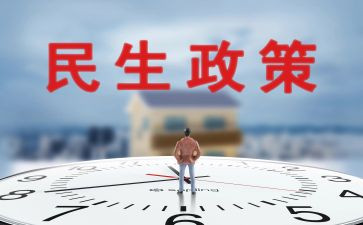 民生工作的工作总结8篇