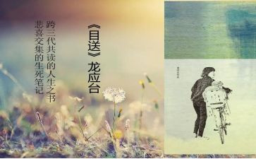 目送读后感300字6篇