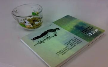 目送目送读后感精选8篇