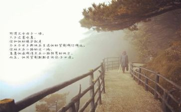 《目送》心得体会参考8篇