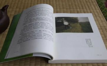 《目送》心得体会5篇