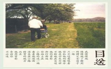 目送的心得体会7篇