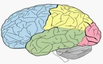 电脑技术员个人工作总结5篇