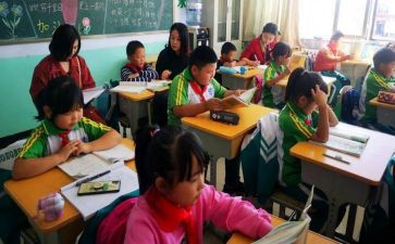 小学一年级语文述职报告5篇
