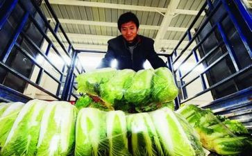 农产品质量工作总结6篇