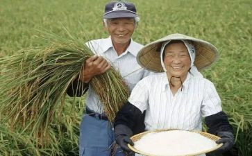 新型农民培训心得体会5篇