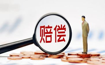 申请赔偿申请书最新6篇