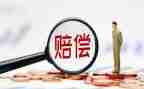 申请赔偿申请书最新6篇