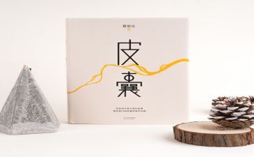 皮囊的读书心得8篇