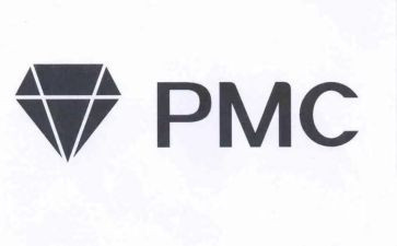 2024年pmc年终总结8篇