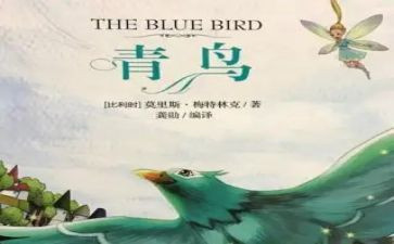 青鸟的读后感模板7篇
