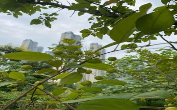 亲近自然的作文最新6篇