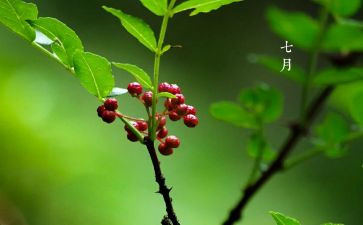 2023年七月的思想汇报8篇