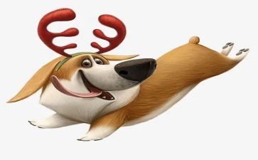社区犬只工作计划优质5篇