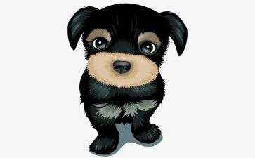 社区犬只工作计划通用5篇