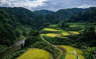 饶才富先进事迹心得体会参考7篇